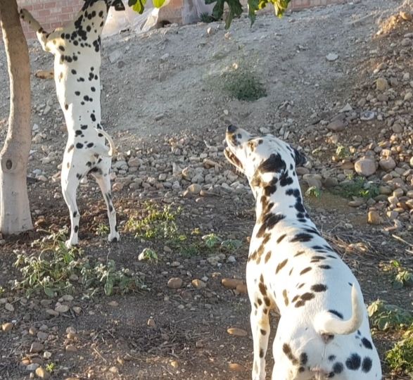 WhatsApp Image 2021-05-15 at 17.29.34