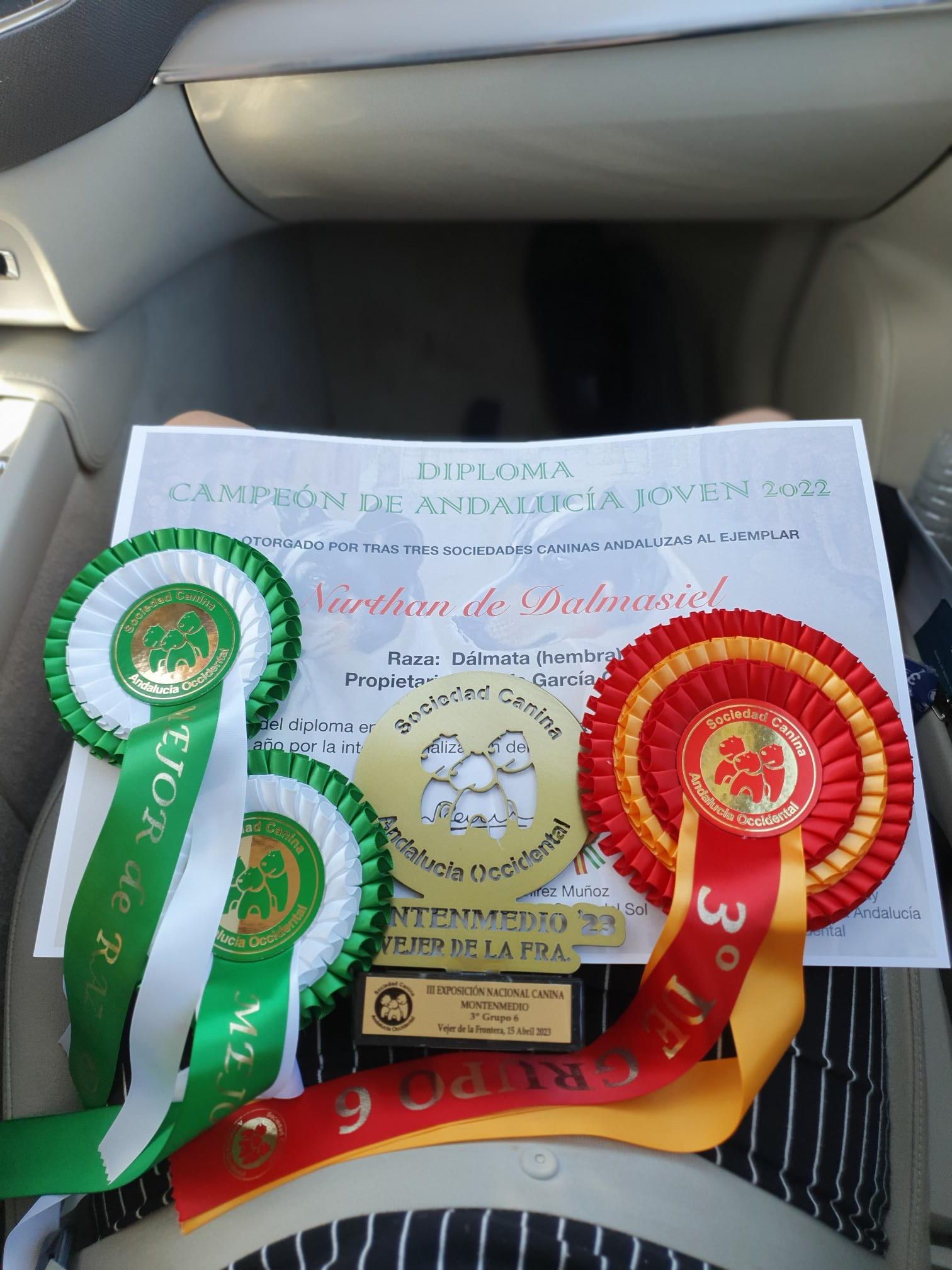 Campeona de Andalucía Joven. Nurthan de Dalmasiel.