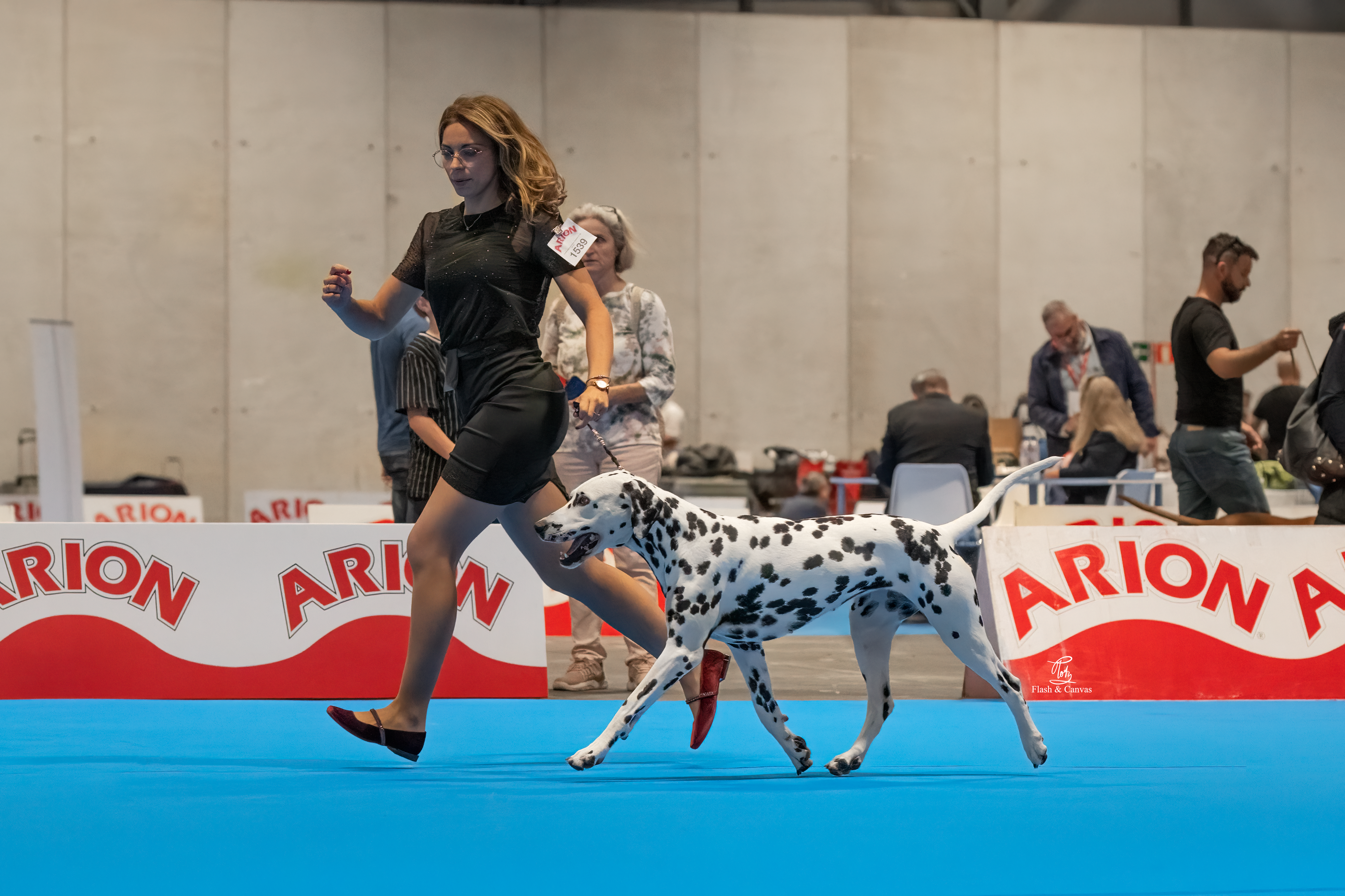 Campeona de España Nurthan de Dalmasiel